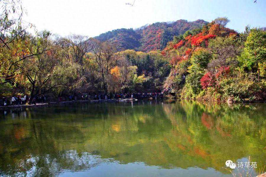 摄影|秋日九如山