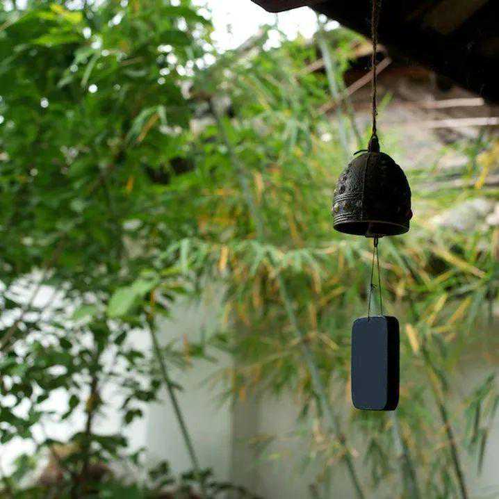 全球学子嘉游赣丨江西citywalk攻略之九江站