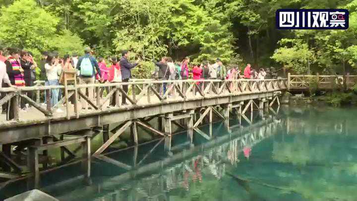 美爆了！九寨沟五花海迎来端午小长假