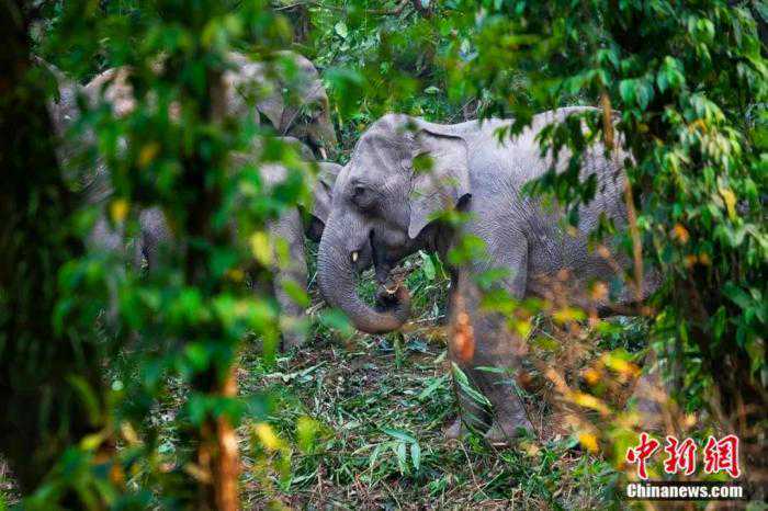 云南到底有多美？谁没去过谁后悔……