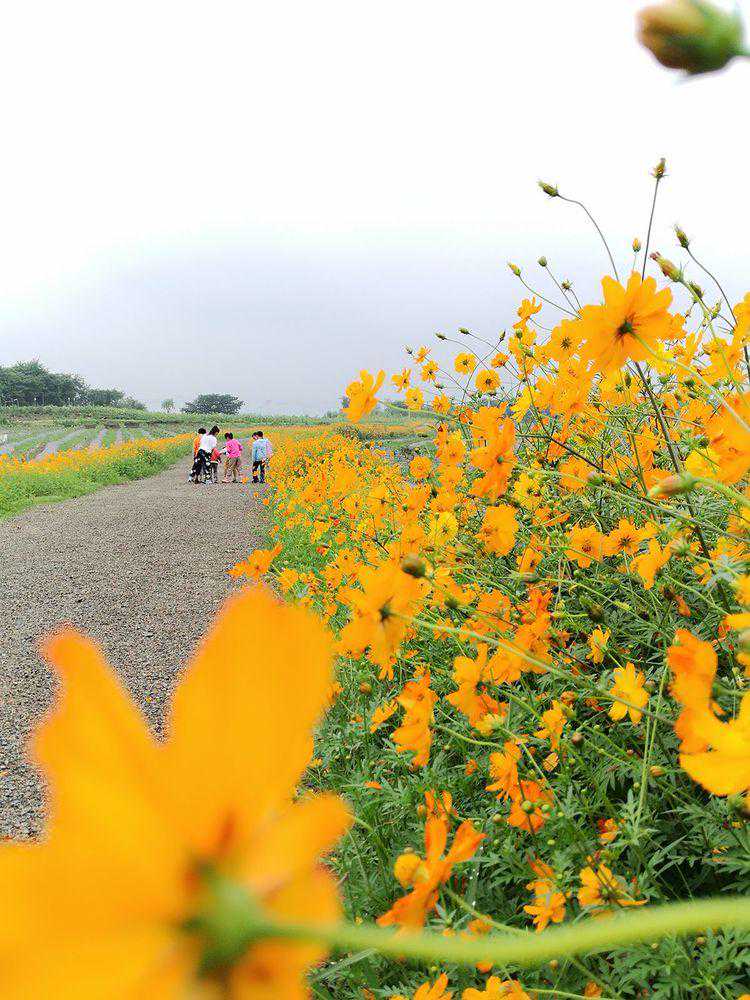 蓝卉谷 西湖-云七