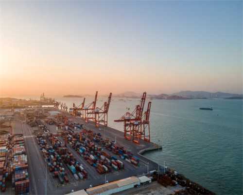 玫瑰的故事：玫瑰一定要离婚，背后的原因暴露了婚姻里的一个真相