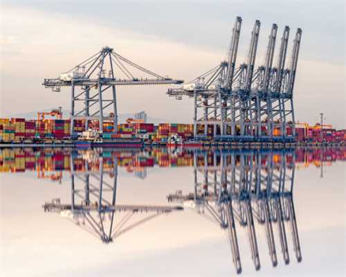 陈辉、原博双个展“乘物·游心”亮相壹美美术馆