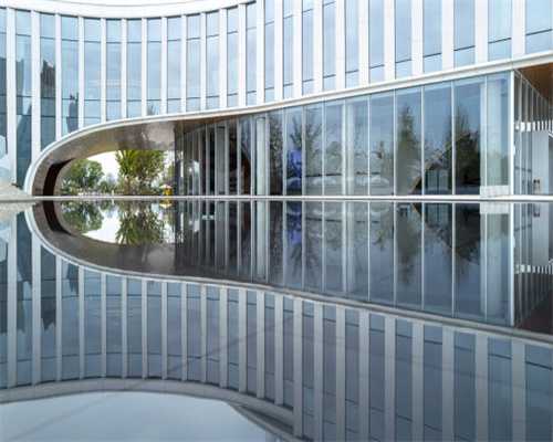 声声蝉鸣忆童年