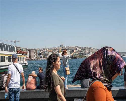 周末，打卡这个“宝藏级”树木园