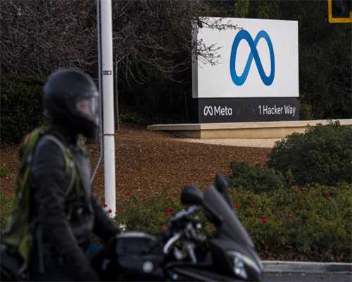 千灯湖惊现“神奇动物”！这片百亩水下森林太美了