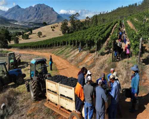 舒兰市水曲柳镇党员干部齐发力清沟畅渠惠民生
