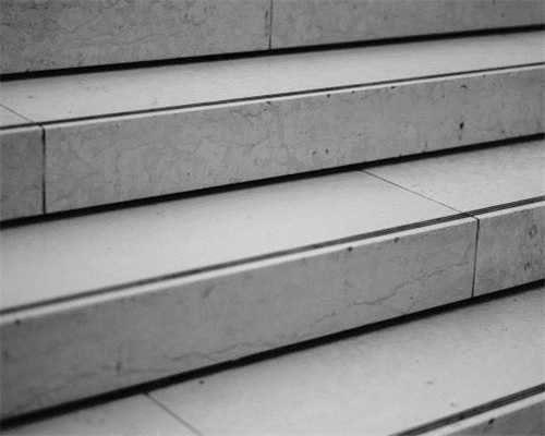 从盐城地头到上海餐桌——“一粒米”的旅程