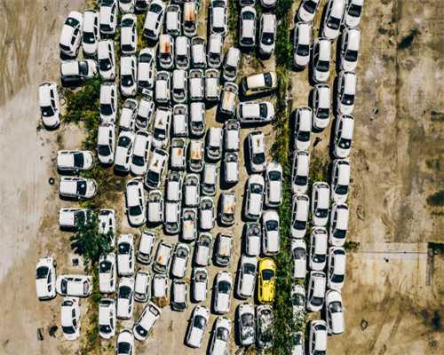 愿景如诗！半程镇乡村振兴先行战略展新姿