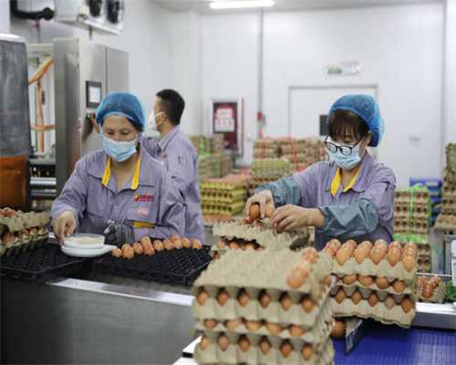 “客家之源 万里寻踪”十四城联动——贺州篇